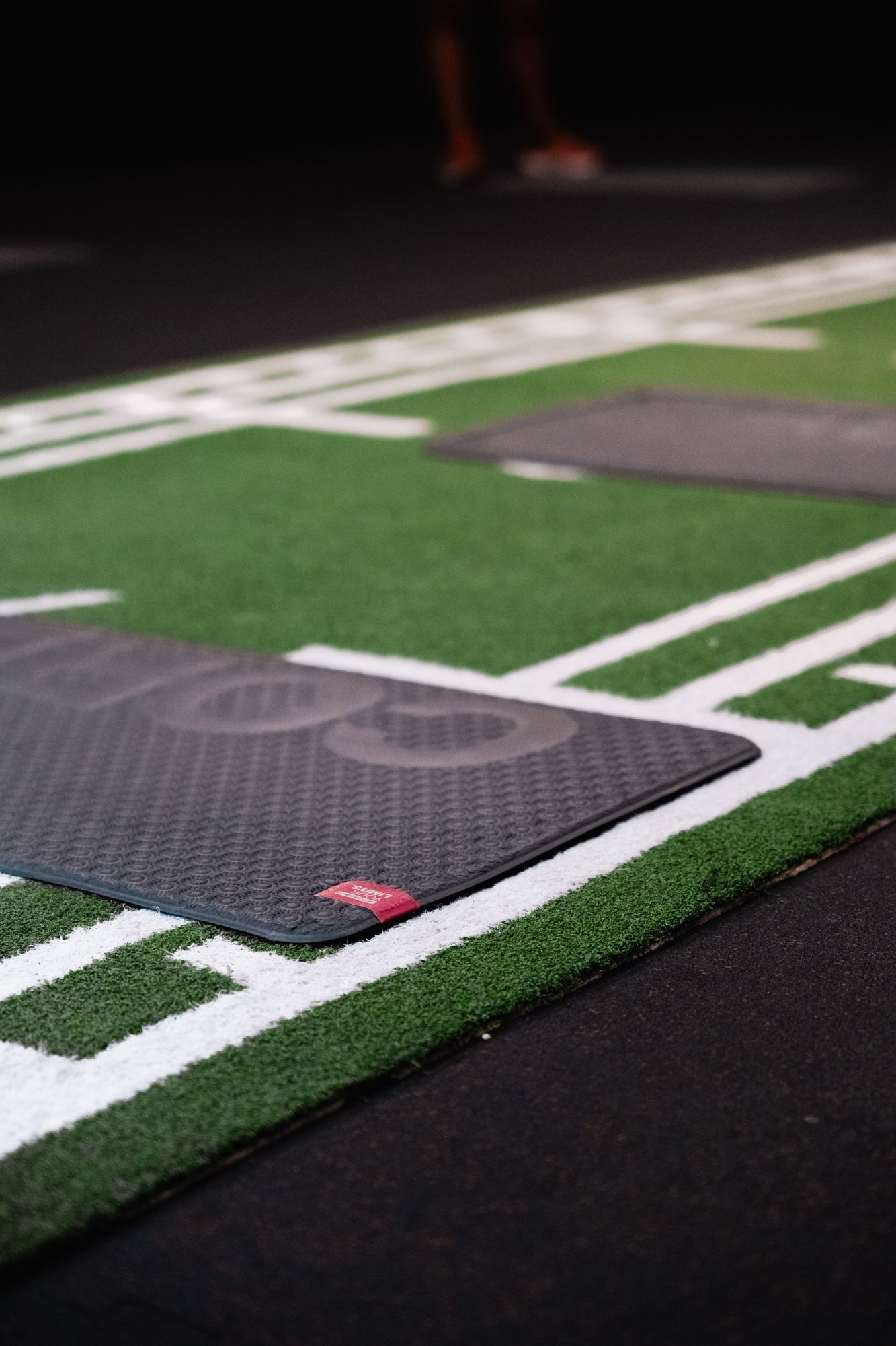 Turf & Sled
